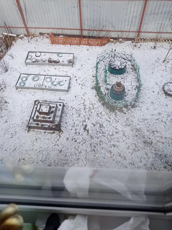 Чайная беседка