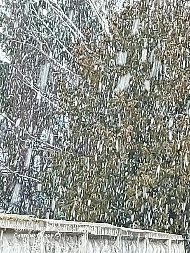 Чайная беседка