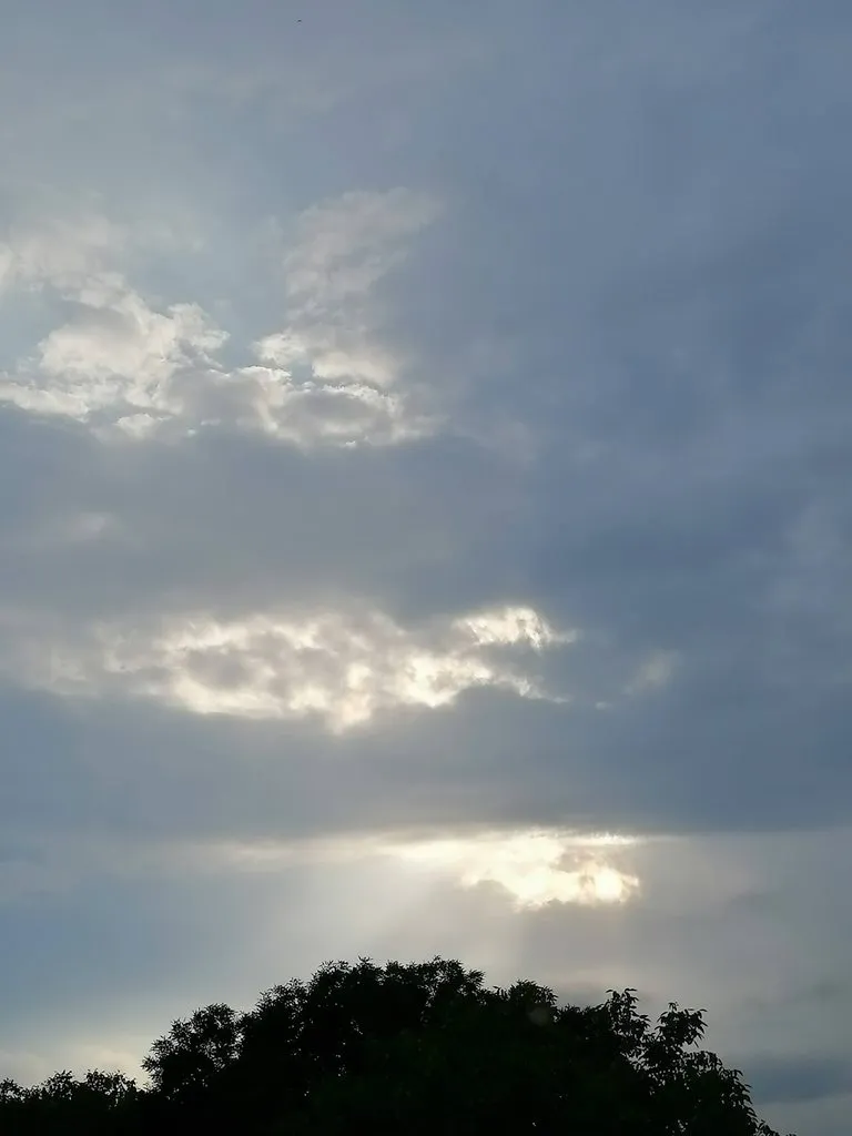 Чайная беседка