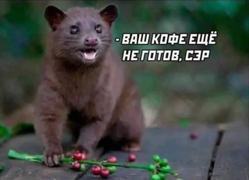 Посмеялся сам - поделись с другом!!!