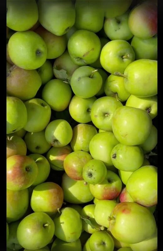 Коломенское