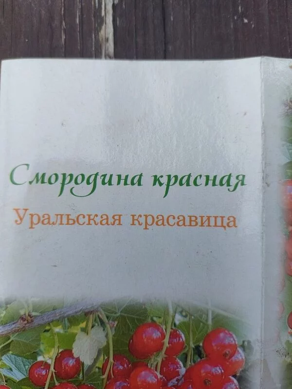 Загородная жизнь - обустройство на своей земле во всем ее разнообразии