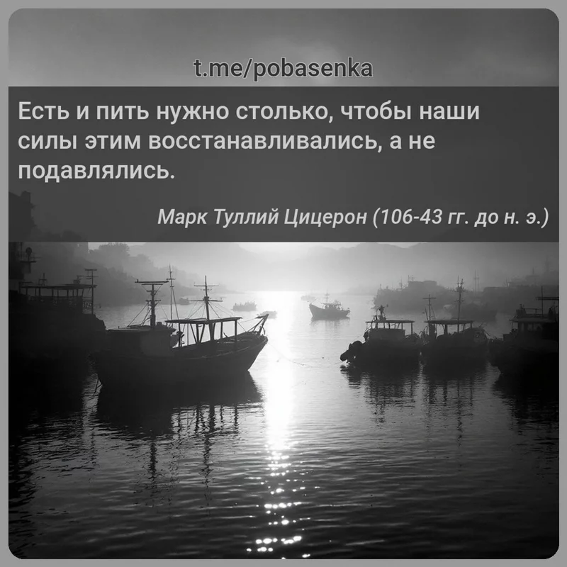 «Есть и пить нужно столько, чтобы наши силы этим восстанавливались, а не...» height="550" width="550"