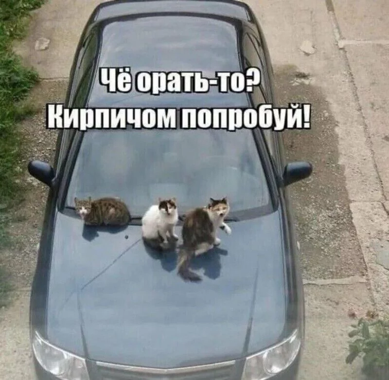 Посмеялся сам - поделись с другом!!!