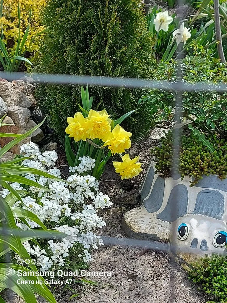 Чайная беседка