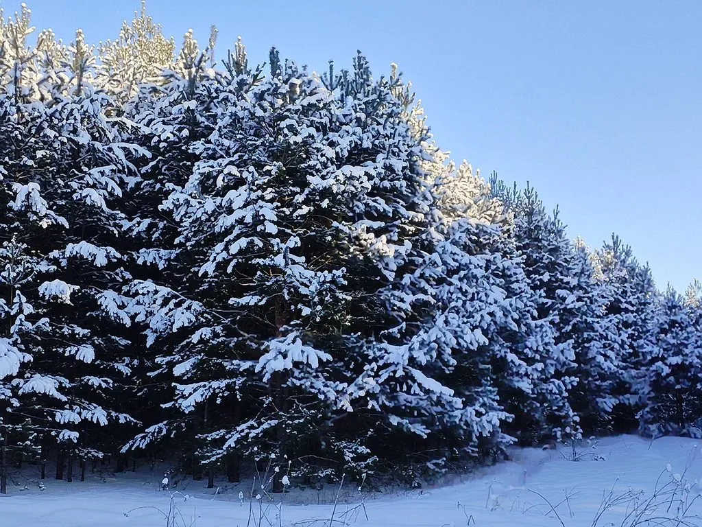 Чайная беседка