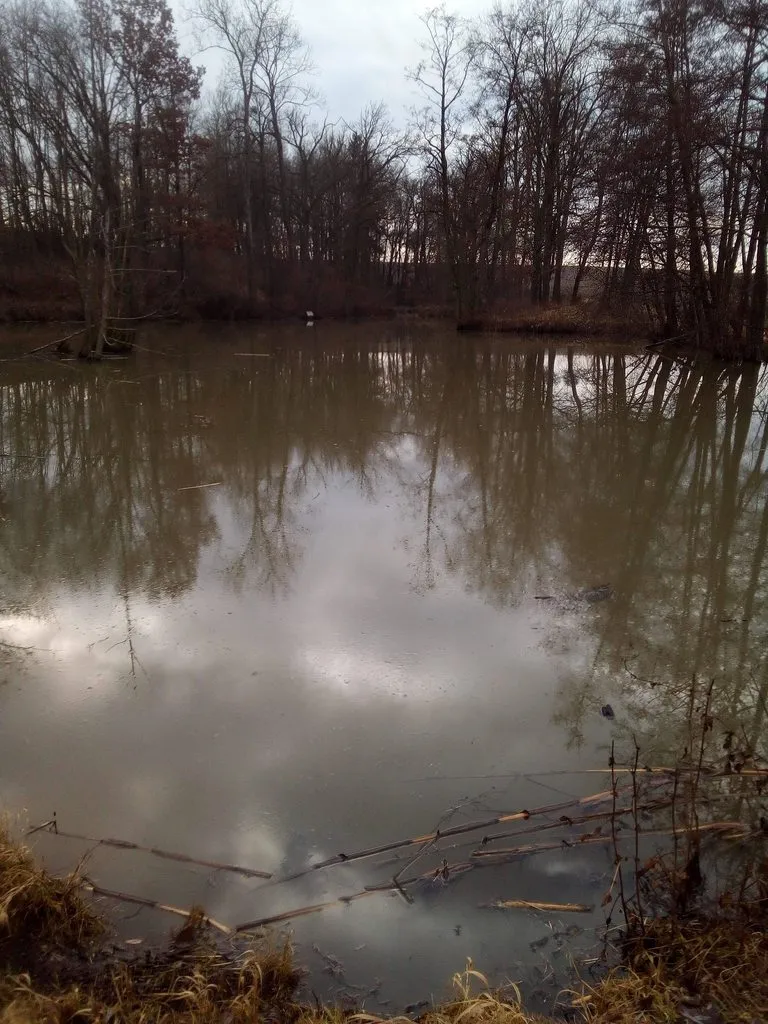 Чайная беседка