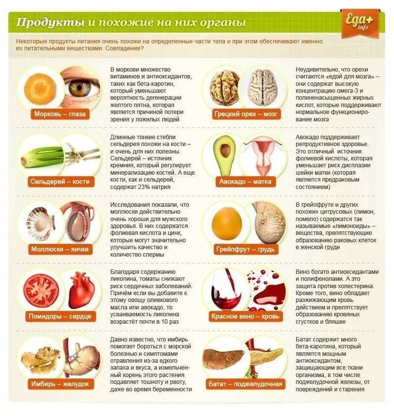 Медицинская инфографика