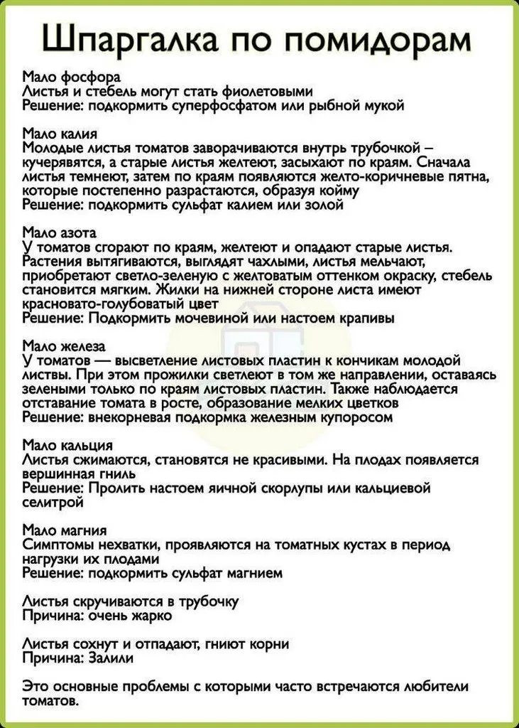 Пора выращивать рассаду