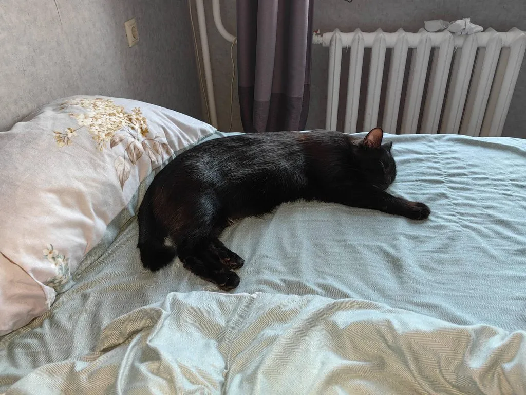 Tapтaлeтки & Ко