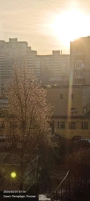 Tapтaлeтки & Ко