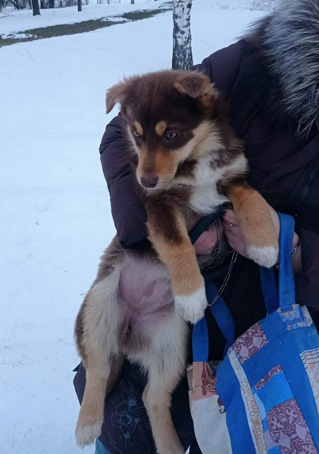 Человек собаке друг!!!