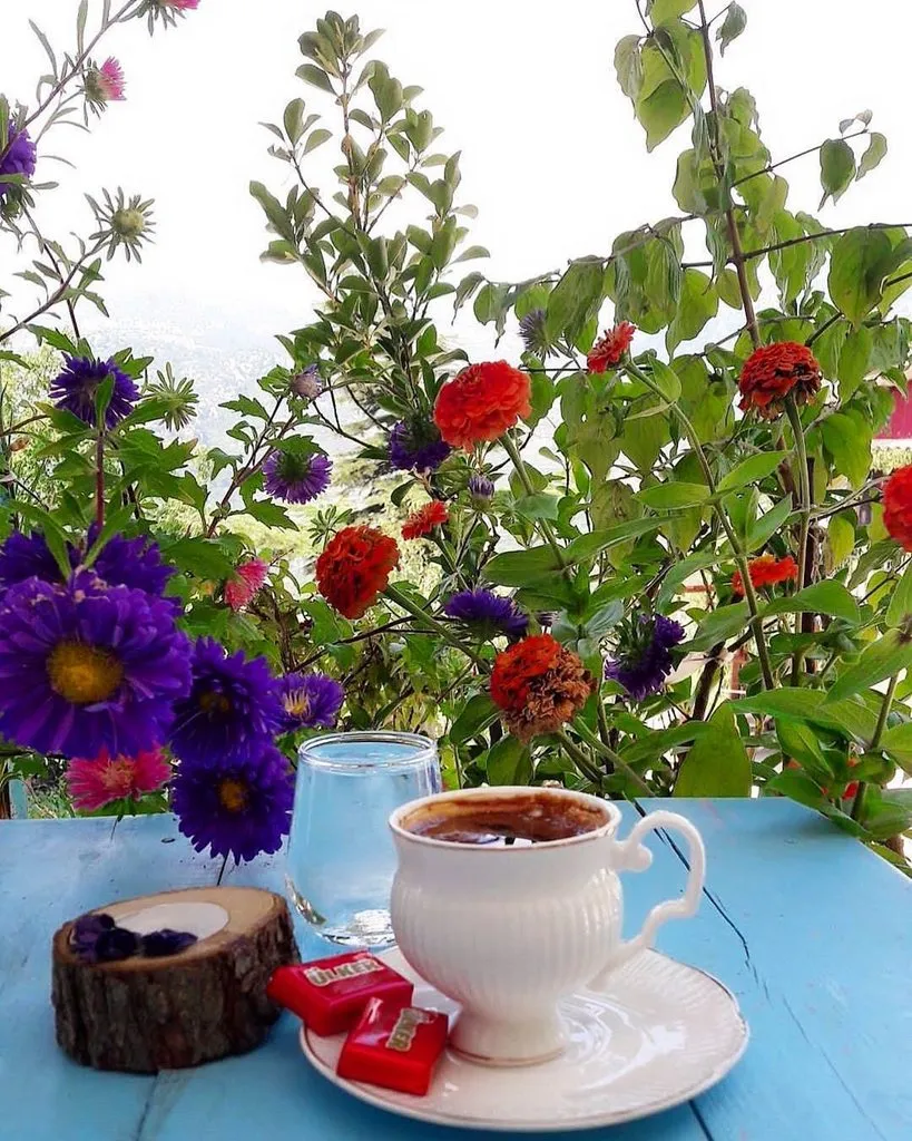 Tapтaлeтки & Ко