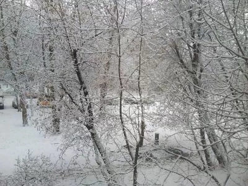 Чайная беседка