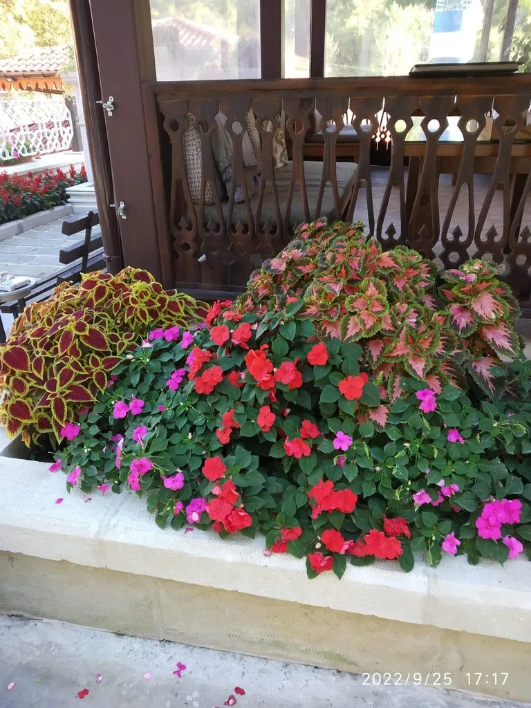 Чайная беседка