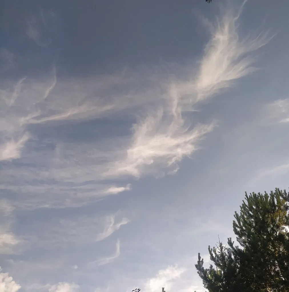 Такое разное небо