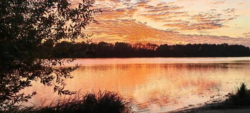 Чайная беседка