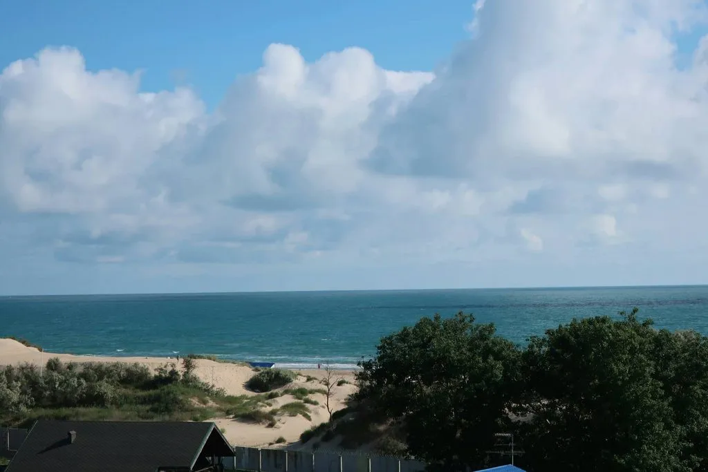 Tapтaлeтки & Ко