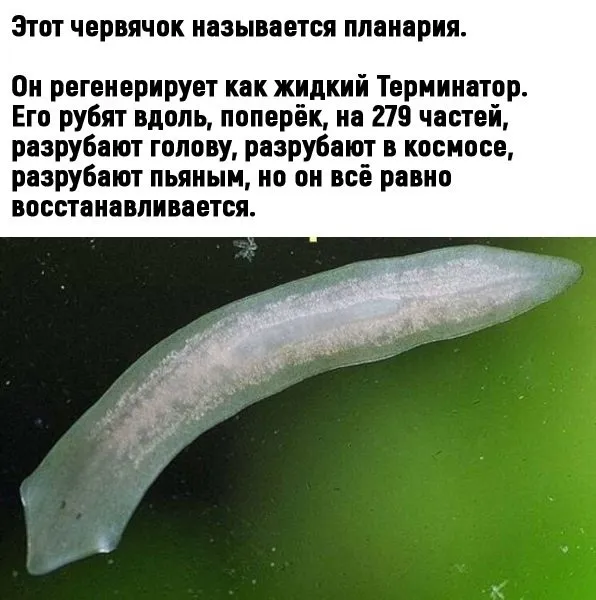 Это интересно!