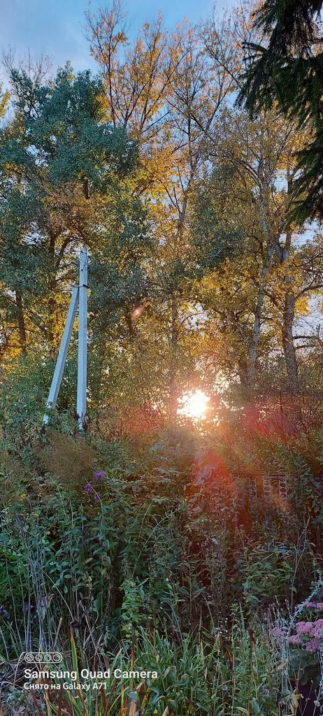 Чайная беседка