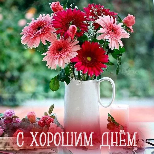 Чайная беседка