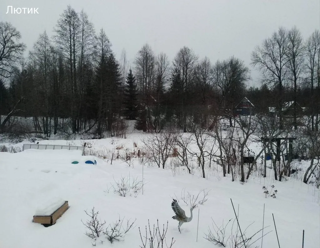 Кафе «У пани Сони»