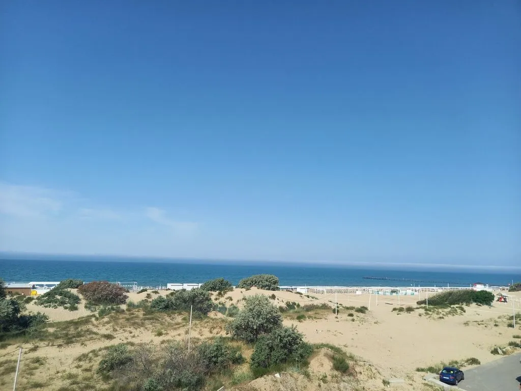 Чайная беседка