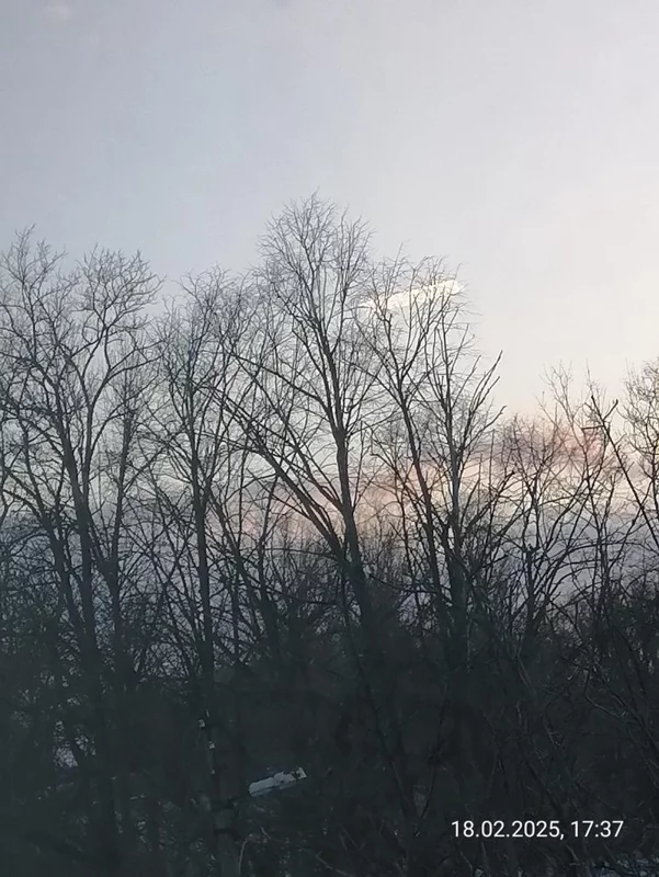 Такое разное небо