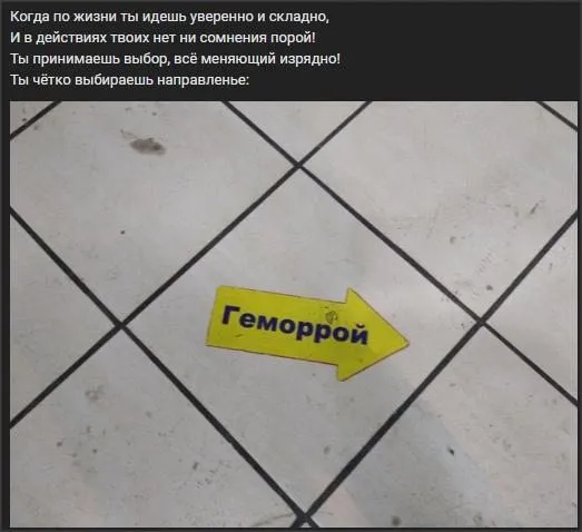 Всюду рифмы