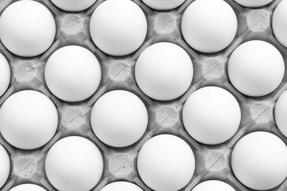 «Пища для мозга». Какие продукты отлично подходят для развития детского мозга?