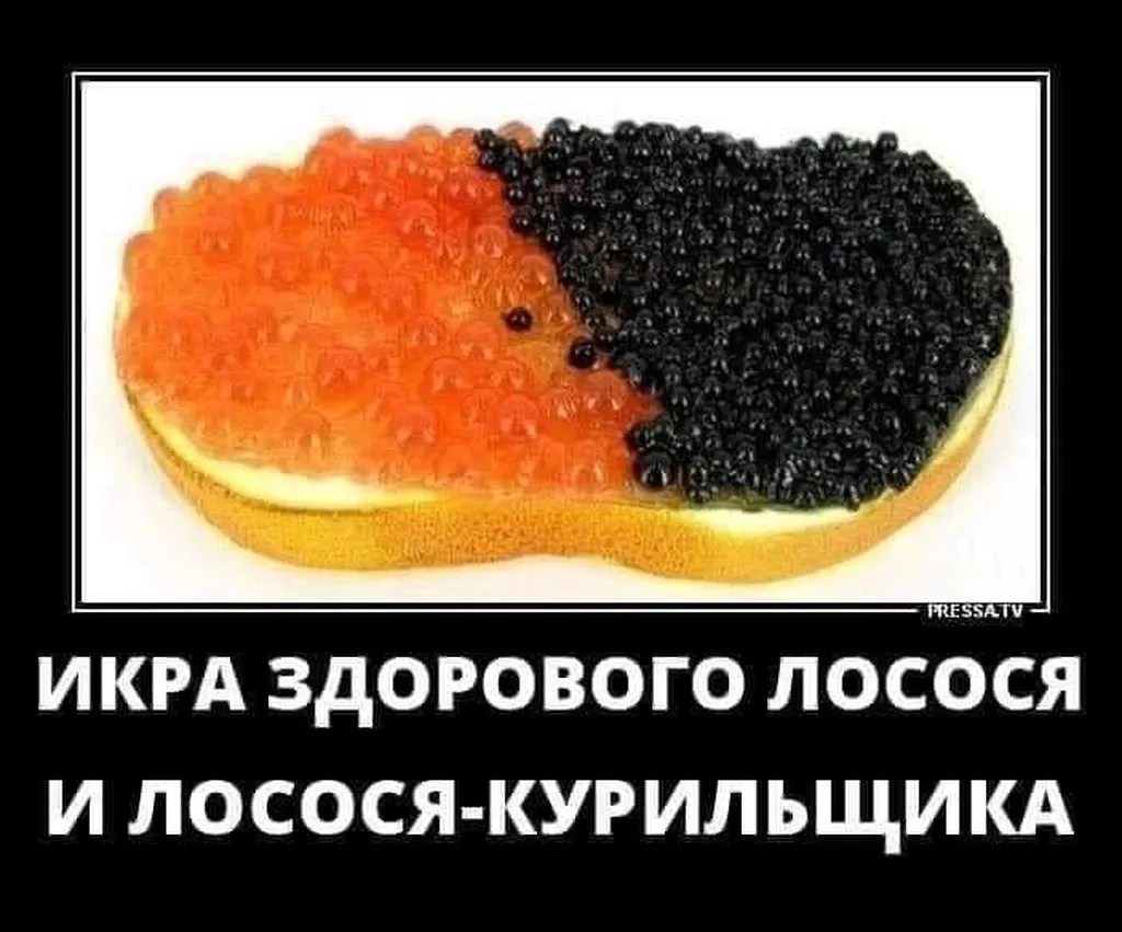 Обсуждаем новогоднее меню 2024 года