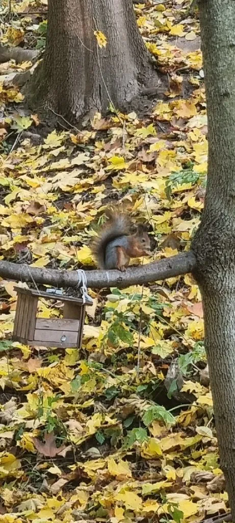 Коломенское