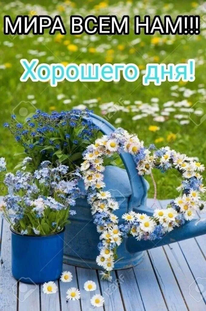 Кафе «У пани Сони»