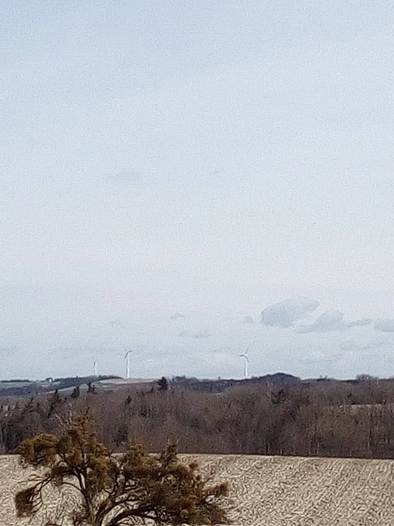 Tapтaлeтки & Ко