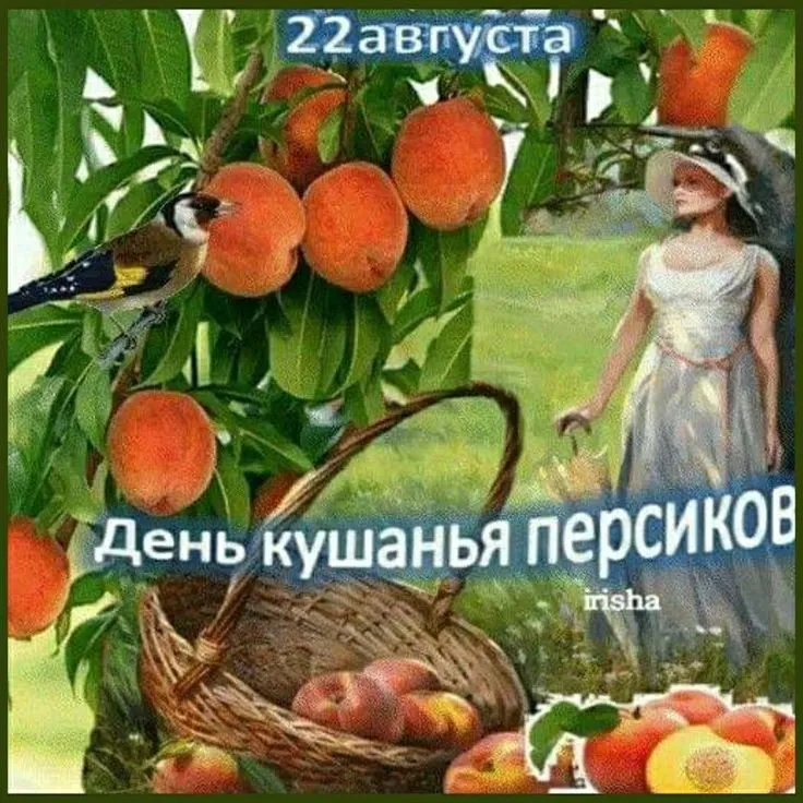 Кафе «У пани Сони»
