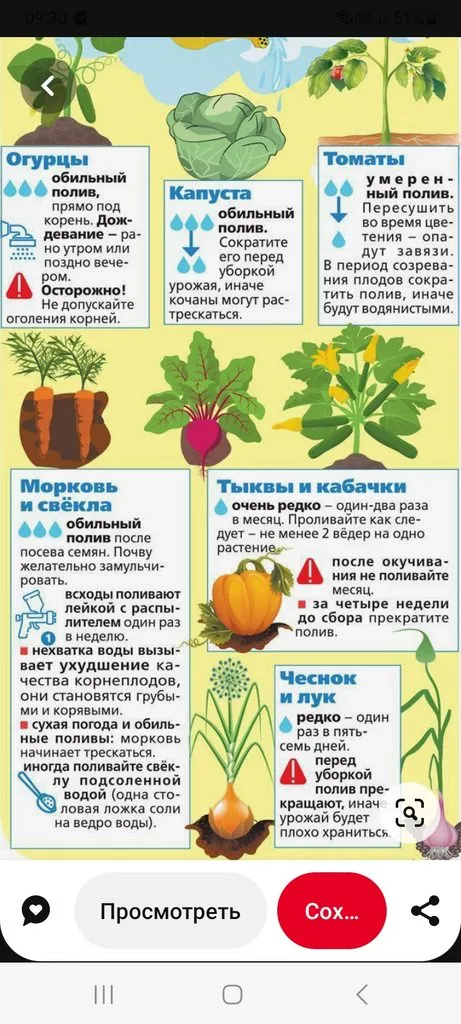 Загородная жизнь - обустройство жизни на своей земле во всем ее разнообразии