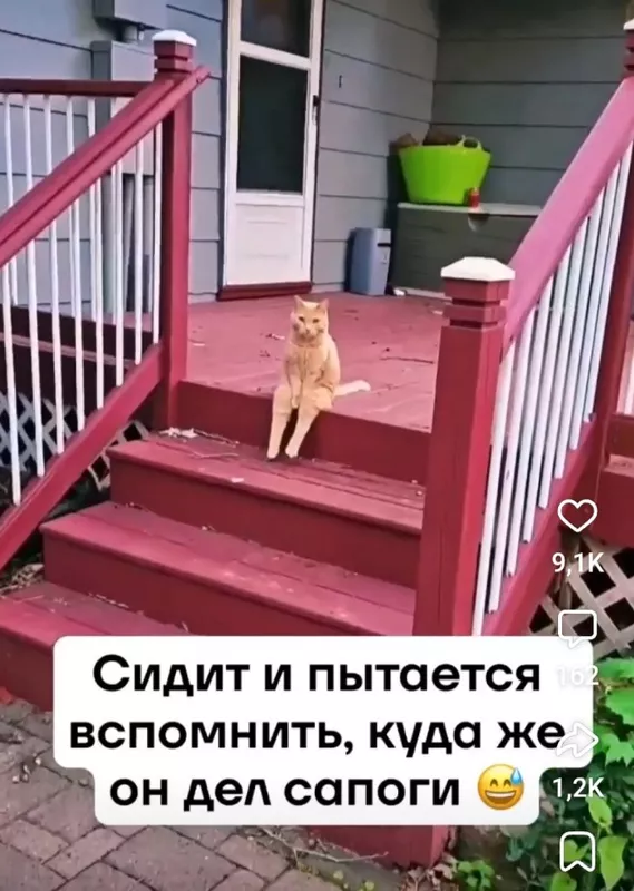 Кафе "У пани Сони"