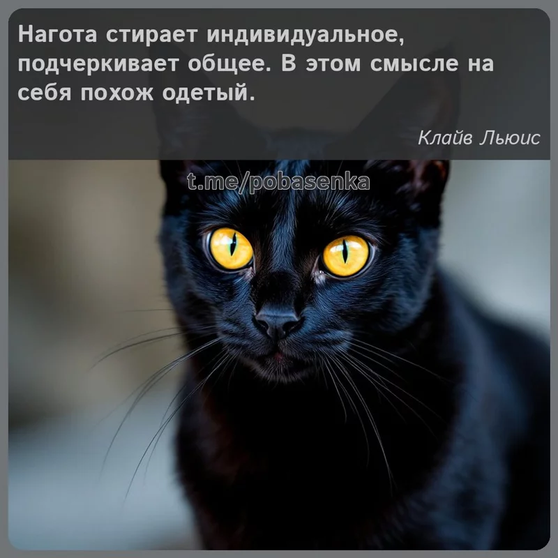 «Нагота стирает индивидуальное, подчеркивает общее. В этом смысле на себя похож...» height="550" width="550"
