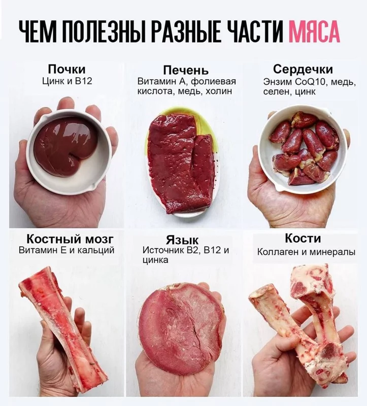 Медицинская инфографика