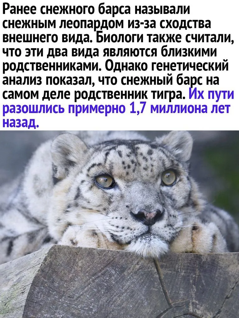 Это интересно!