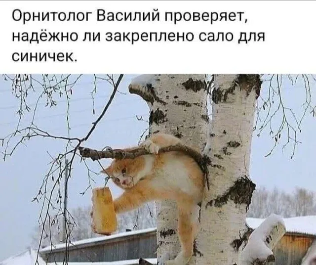 Посмеялся сам - поделись с другом!!!