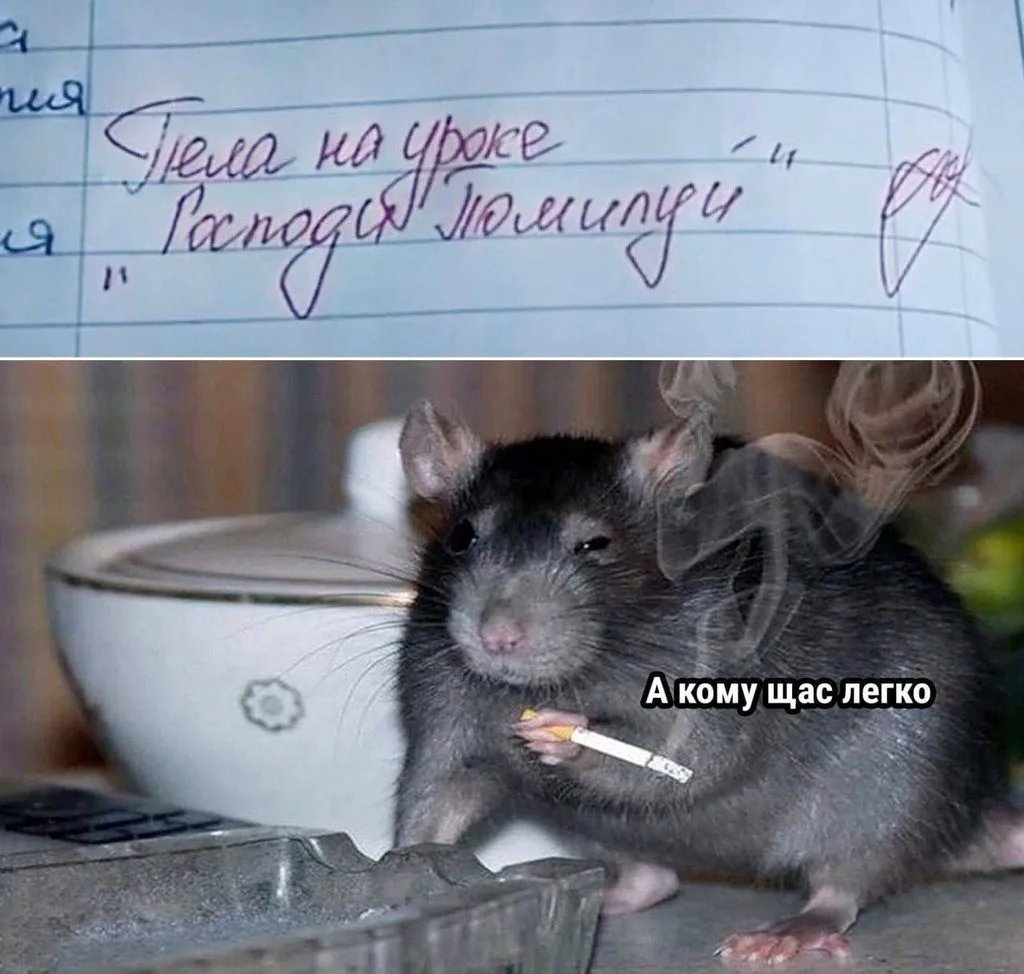 Посмеялся сам - поделись с другом!!!