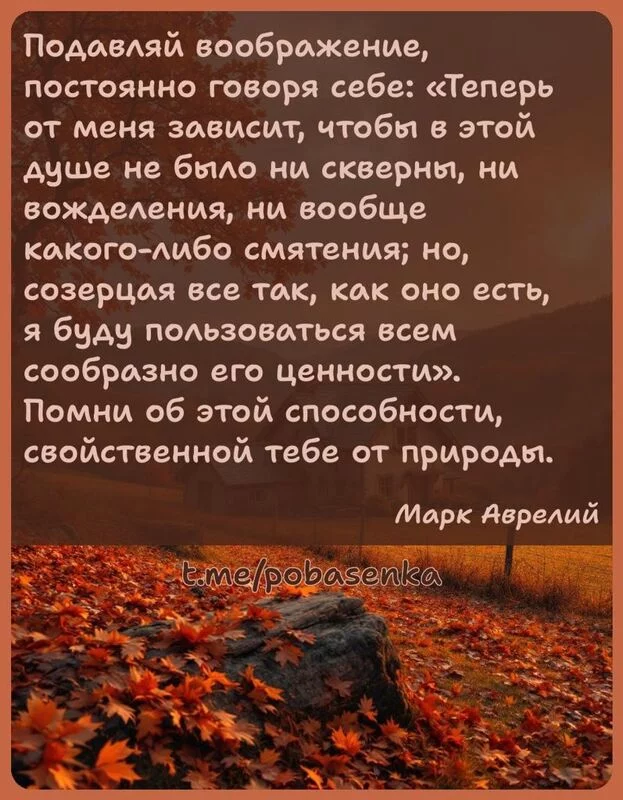 «Подавляй воображение, постоянно говоря себе Теперь от меня зависит, чтобы в этой душе не было ни скверны, ни вожделения, ни...» height="550" width="550"