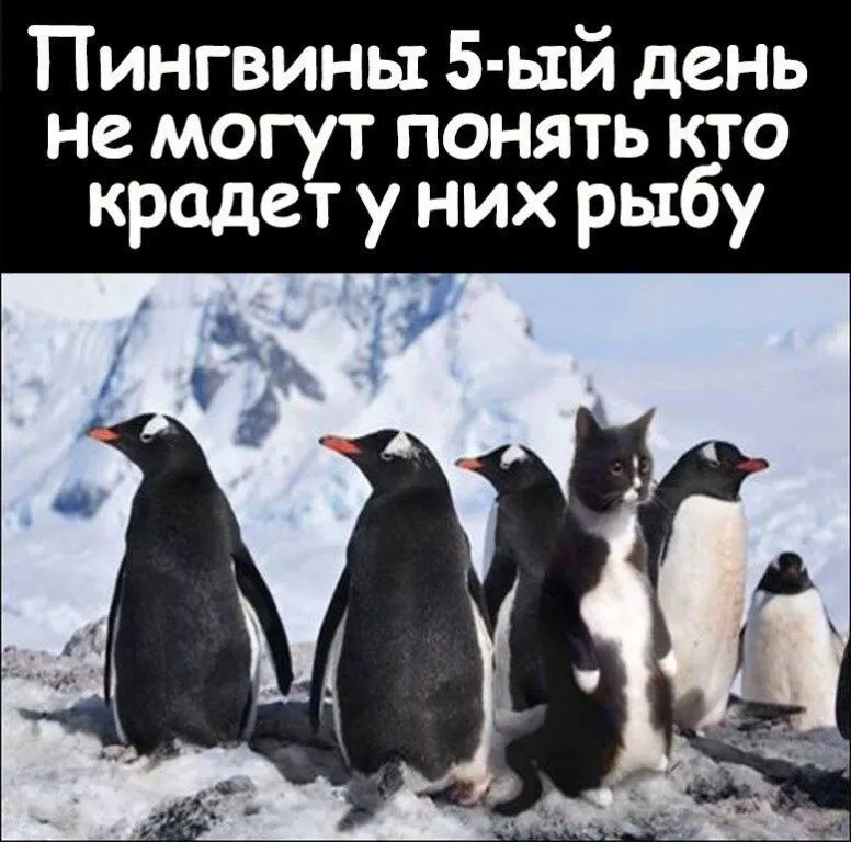 Позитивчик (фото, видео, рассказы для хорошего настроения)