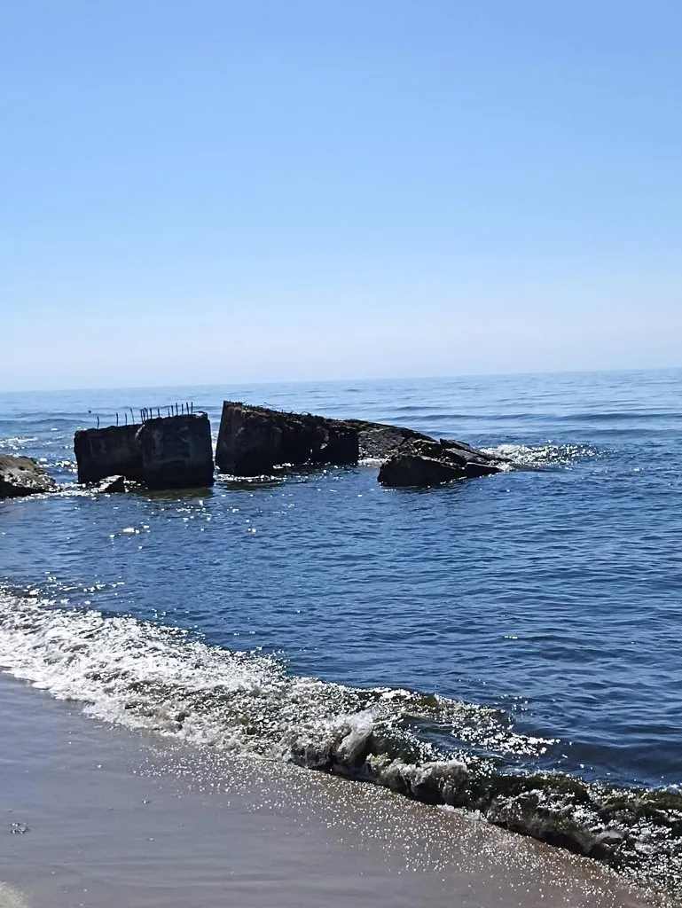 Калининградская область (не только море и янтарь) 