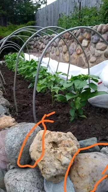 Чайная беседка