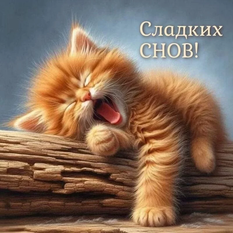 Кафе "У пани Сони"