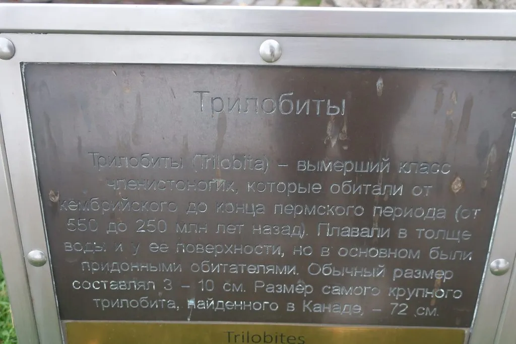 И снова, через год, встречай, Калининград!