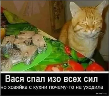 Посмеялся сам - поделись с другом!!!