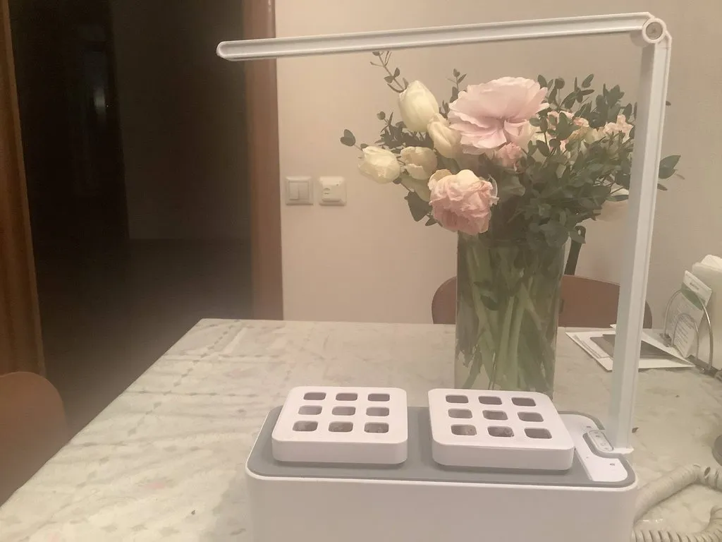 Сад и огород на балконе